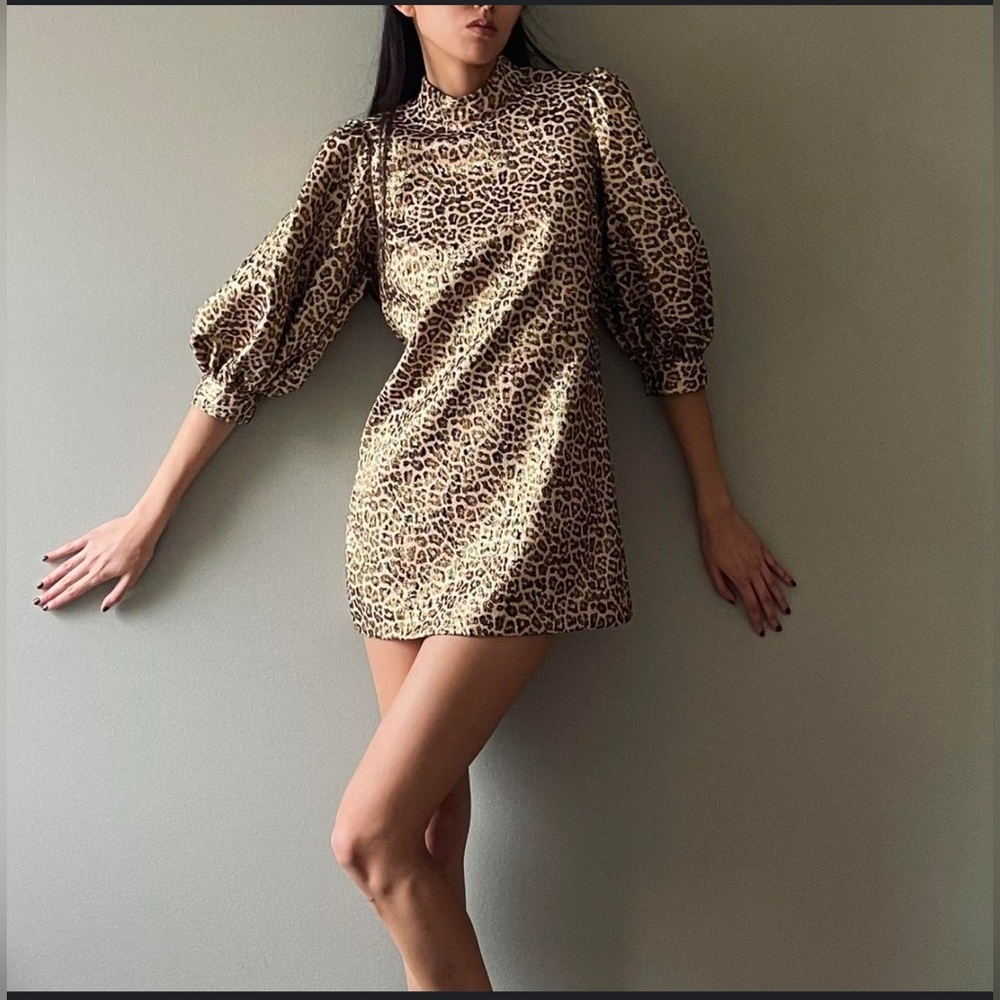 Zara Cheetah Print Mini Dress